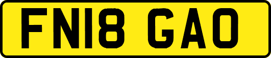 FN18GAO