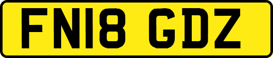 FN18GDZ