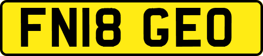 FN18GEO
