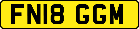 FN18GGM