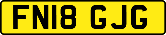 FN18GJG