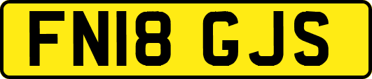 FN18GJS