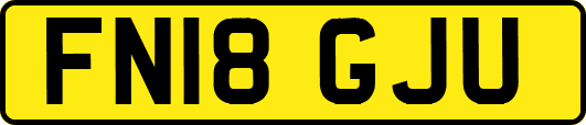 FN18GJU