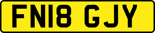 FN18GJY