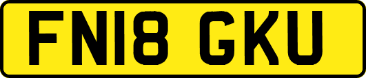 FN18GKU