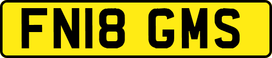 FN18GMS