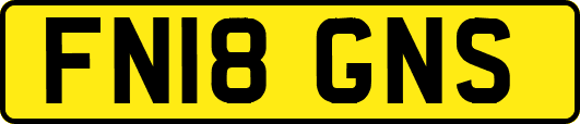 FN18GNS