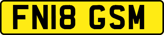 FN18GSM
