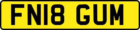 FN18GUM