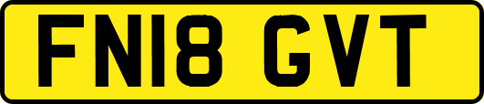 FN18GVT
