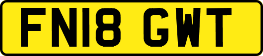 FN18GWT