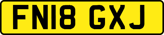 FN18GXJ