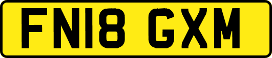 FN18GXM