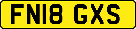 FN18GXS