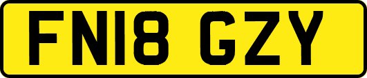 FN18GZY