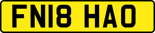 FN18HAO