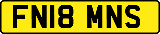 FN18MNS