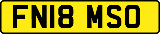 FN18MSO