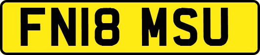 FN18MSU