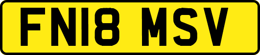 FN18MSV
