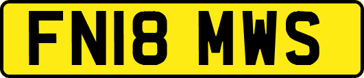 FN18MWS