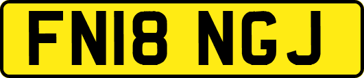 FN18NGJ