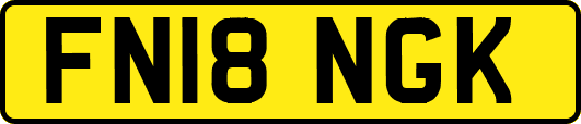 FN18NGK