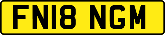 FN18NGM