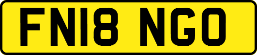 FN18NGO