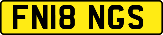 FN18NGS