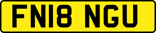 FN18NGU