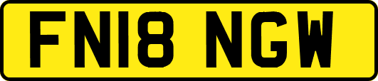 FN18NGW