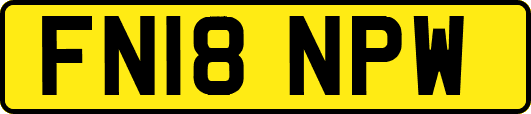 FN18NPW