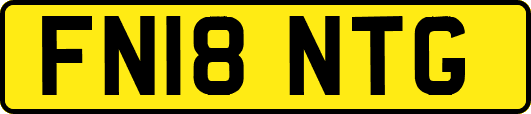 FN18NTG