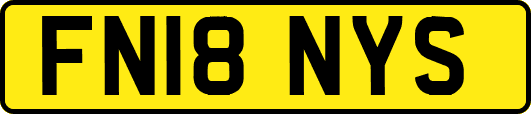 FN18NYS