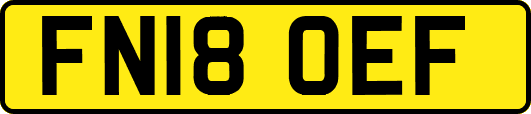 FN18OEF