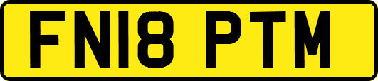 FN18PTM