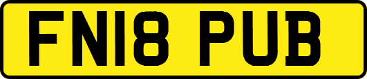 FN18PUB