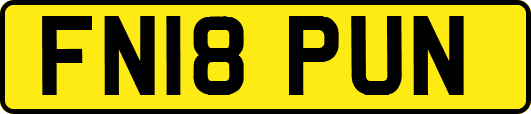 FN18PUN