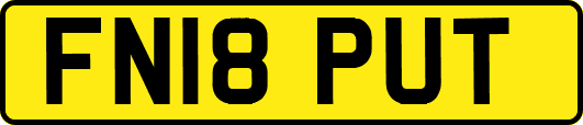 FN18PUT