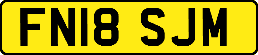FN18SJM
