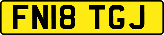 FN18TGJ