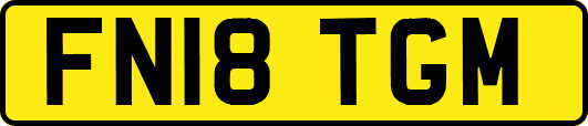 FN18TGM