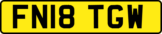FN18TGW