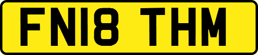 FN18THM