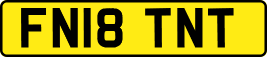 FN18TNT