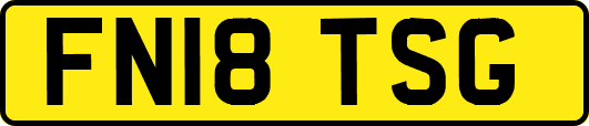 FN18TSG
