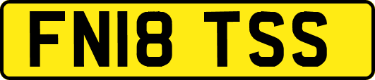 FN18TSS