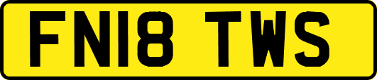 FN18TWS