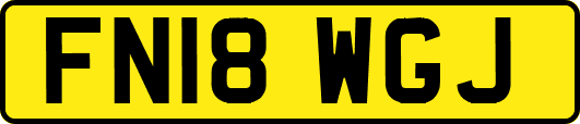 FN18WGJ